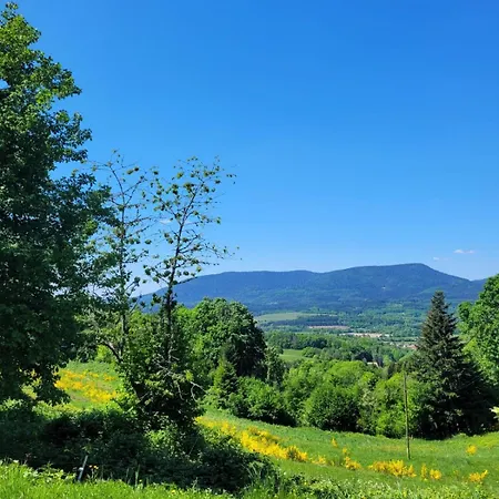 Pour Les Amoureux De Ballades Dans Les Vosges - 4 Nuits Minimum Feriehus