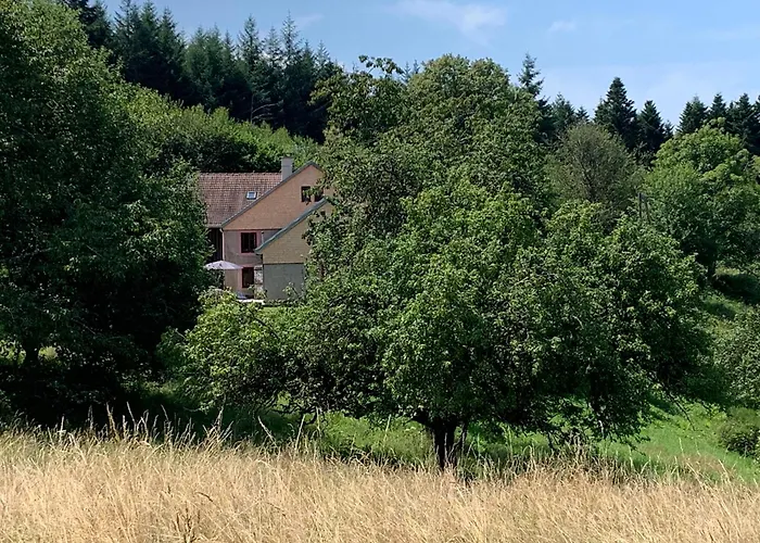 Prázdninový dům Pour Les Amoureux De Ballades Dans Les Vosges - 4 Nuits Minimum